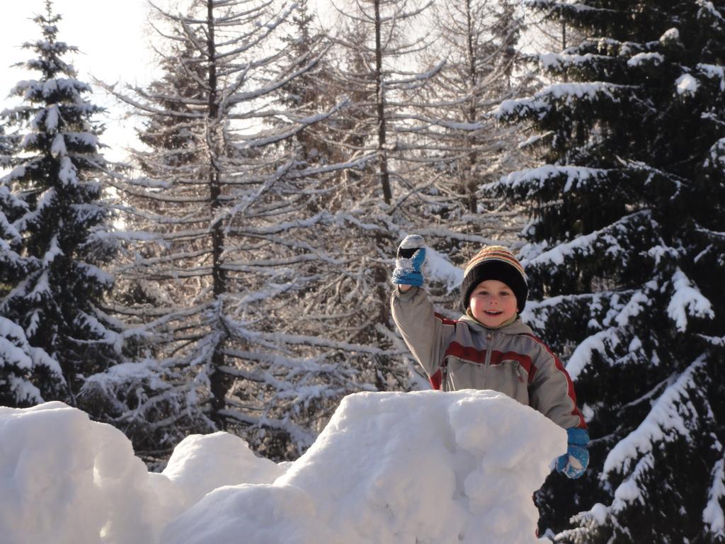 Hotel Pavla Vysocina โนเวมิสโต นา โมราเวีย ภายนอก รูปภาพ